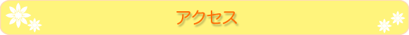 �A�N�Z�X