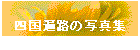 �l���՘H�̎ʐ^�W