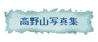 ����R�ʐ^�W