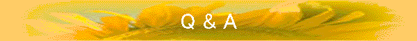 Q & A