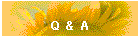 Q & A
