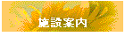 �{�݈ē�