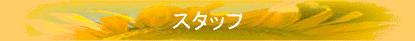 �X�^�b�t