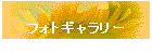 �t�H�g�M�������[