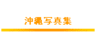 ʐ^W