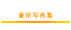 ʐ^W