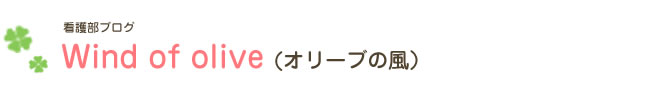 Wind of olive(オリーブの風)