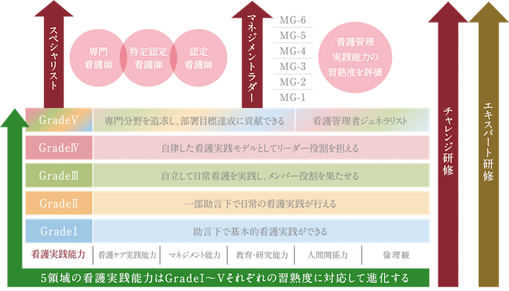 備えるべき看護実践能力の5領域