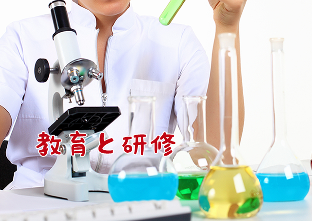 教育と研修