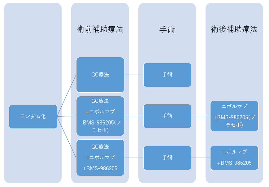 治験デザインの概略