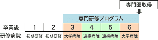 臨床修練コース研修プログラム例